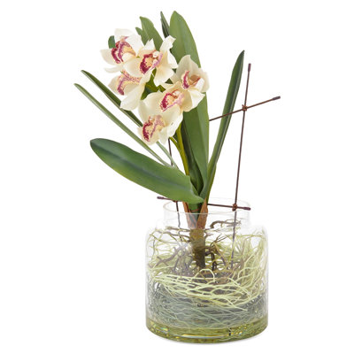 Orchid Arrangement in Vase