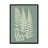 Ferns On Sage III by Vision Studio - Painting on Canvas-280359561-280359575