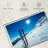 Sireci Sunlit Ski Slope-108155880
