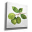 "Epip Graffiti" Citrus Garden 2 Shiplap "par Kathleen Parr, art mural sur toile, 37 po x 37 po-106172545