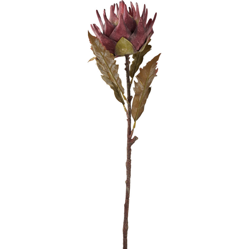 Mulberry Brown Dried Flower Bunch, Mulberry Brown, Purple