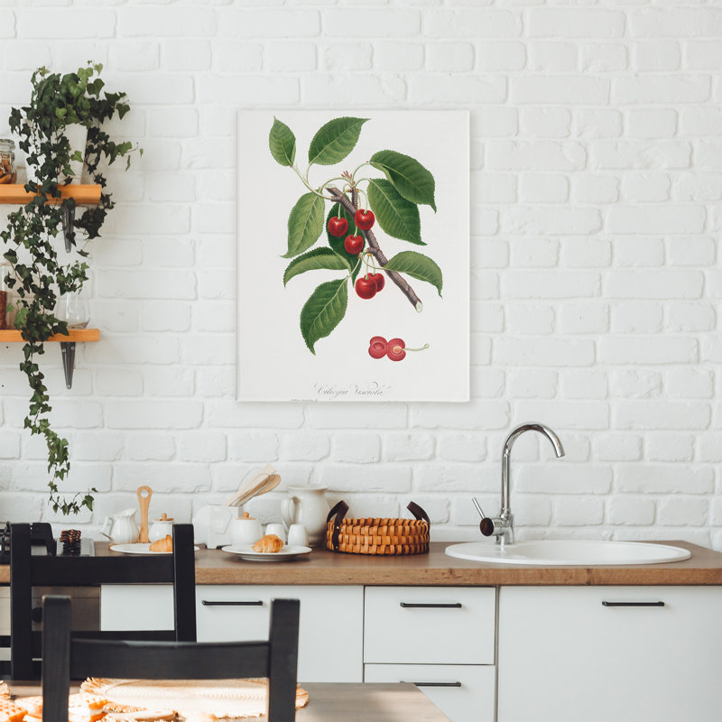 Latin Study of Cherry Plant Canvas, design by Lettered and Lined, 40" H x 30" W