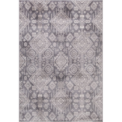 Oriental Indoor Rug