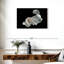 Poisson Betta blanc Brampt-108801060