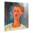 Plastic/Acrylic selected
