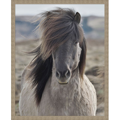 «Gray Mane» par Lillian August - photographie sur toile