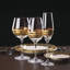 Truro Handmade Wine Glass-44842553