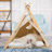 Brylan Tent Pet Bed-2057424557