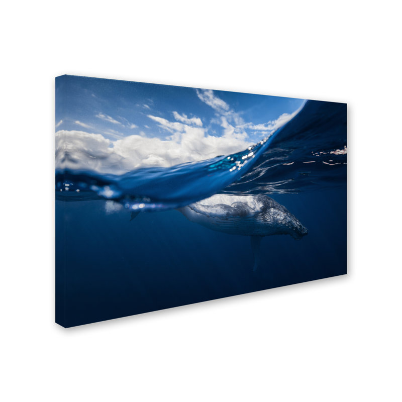 «Humpback Whale and the Sky», impression sur toile tendue, H 12 po x l 19 po