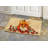 Fox and Birds Outdoor Doormat