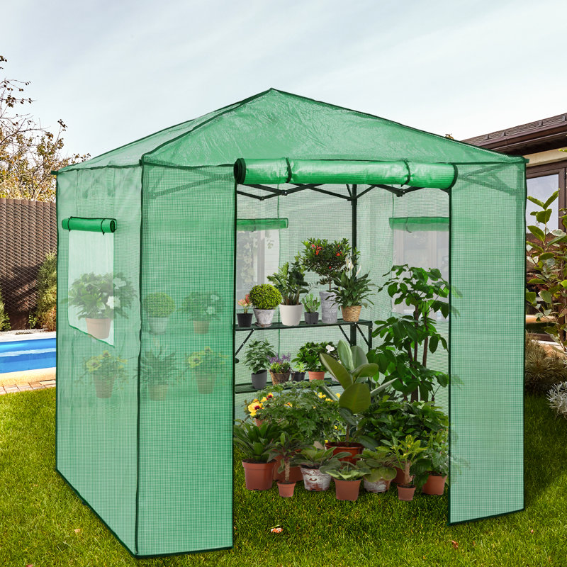 Pop Up Greenhouses 7 ft W x 7 ft D Greenhouse