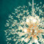 9 - Light Sputnik Chandelier-1320178672