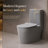 Dual-Flush Gray Silent Anti-Odor Toilet (Seat Included)