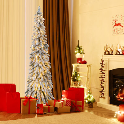 Lighted Christmas Tree