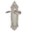 Victorian Plate Passage (Hall & Closet) with Swan Lever-785930517-785930522