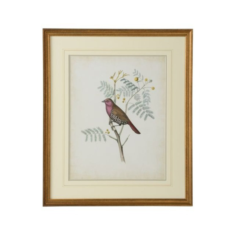 «Delicate Birds II», cadre photo