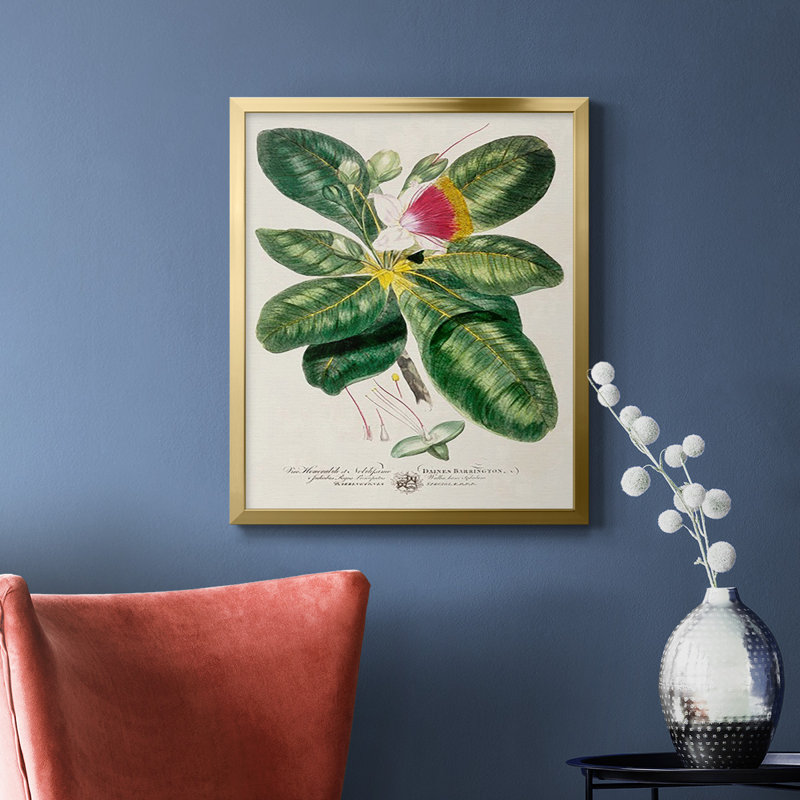 Toile encadrée de qualité supérieure Imperial Tropical Botanical I - prête à être accrochée, Or, H 24 po x l 20 po