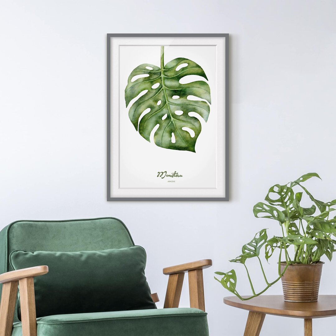 Gerahmtes Papierbild Aquarell Botanik Monstera