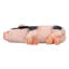 Statue pour cochon de couchage