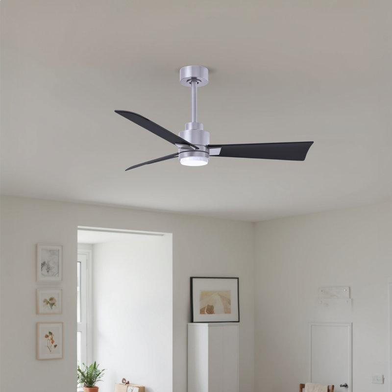 Ventilateur de plafond Alessandra, Noir mat, Nickel brossé, 42"