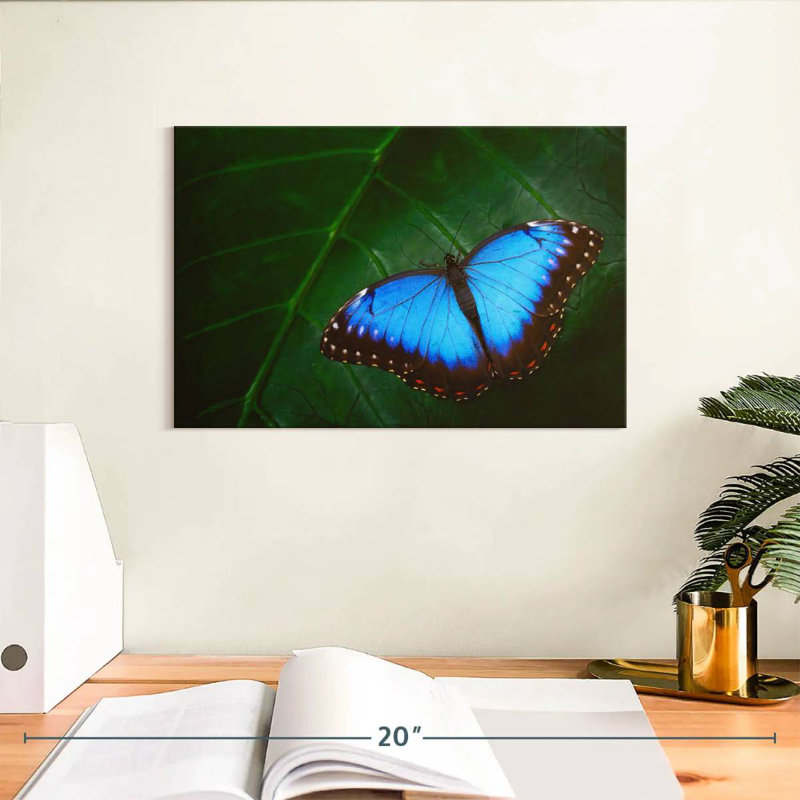 Brampt Pretty Blue Butterfly, 8" H x 12" W