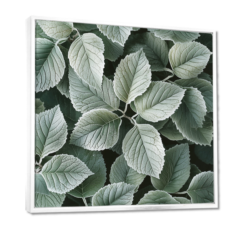 Frosted Leaves II - feuilles, art mural, H 36 po x l 36 po, Impression encadrée flottante, Blanc