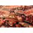 Anadol Red Rug 3'9" x 6'7"