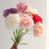 Blanc / rose / rouge / mauve
