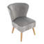 Aaeden Upholstered Accent Chair-1693722528