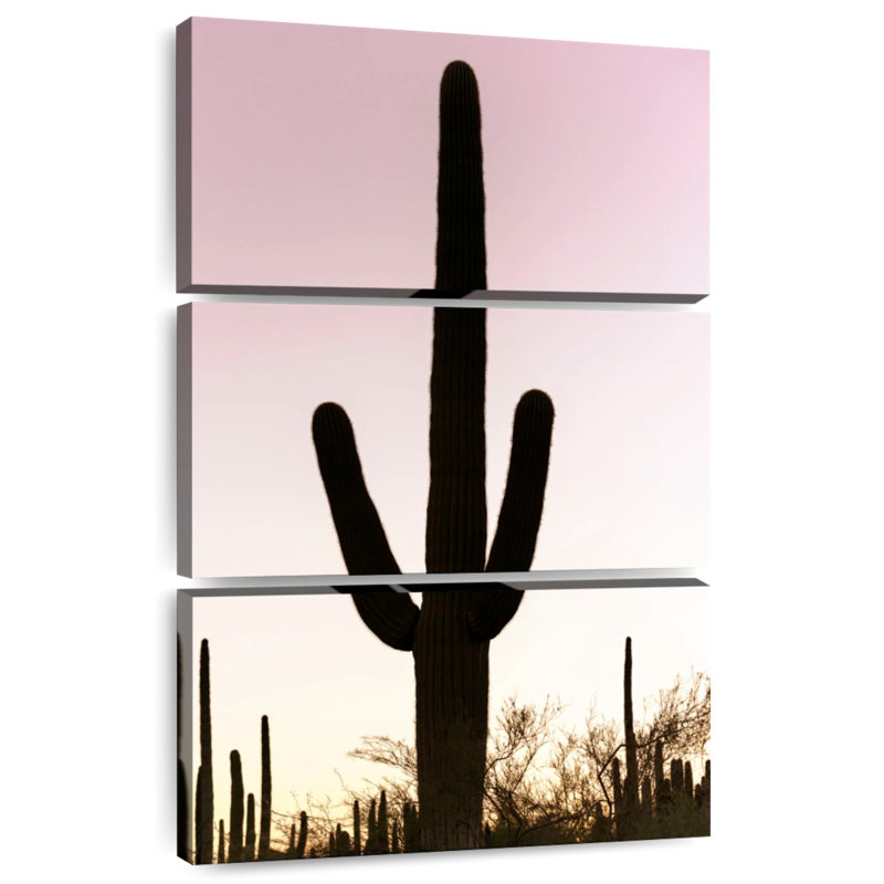Harnek cactus rose coucher de soleil, H 45 po x l 28 po