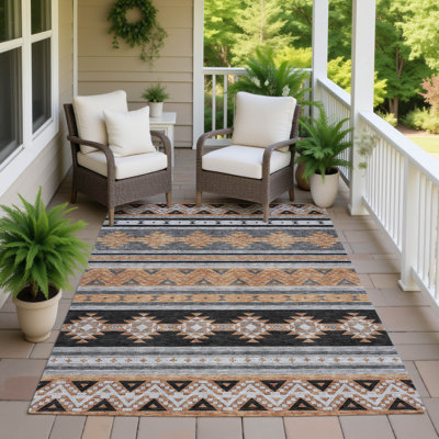 Machine Washable Indoor/Outdoor Chantille ACN2561 Global Rug
