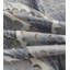 Indochine Fabric
