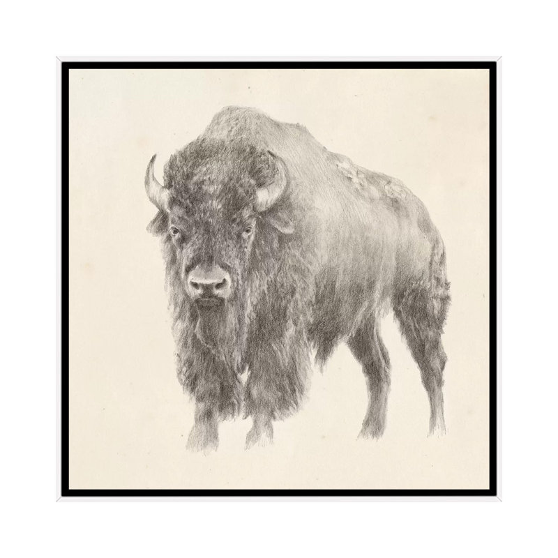 "Western bison study" par Ethan Harper, reproduction d’art, H 18 po x l 18 po x 1,5 po, Toile blanche encadrée, Pas de tapis