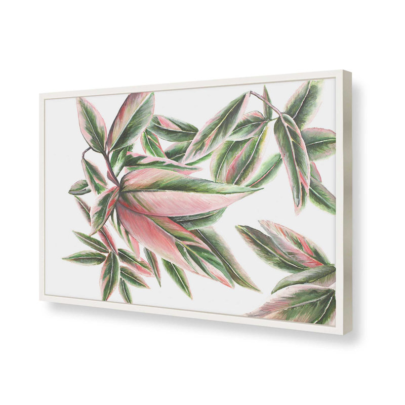 Étude de canopée rose par Dollybirds, estampe d'art, 9.25" H x 13.25" W, Impression encadrée opaque blanche