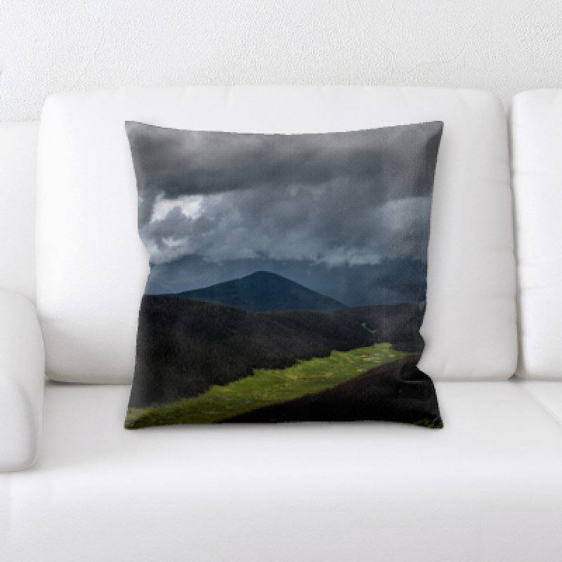 Weinberger Microsuede Throw Pillow