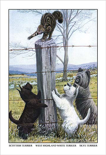 « écossais terrier, west highland terrier, skye terrier » par louis agassil fuertes, reproduction d’art, H 42 po x l 28 po