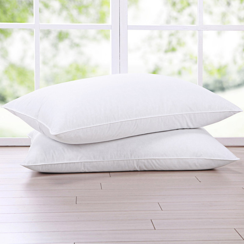 Ensemble de 2 coussins de soutien Afrin, 20 po x 28 po