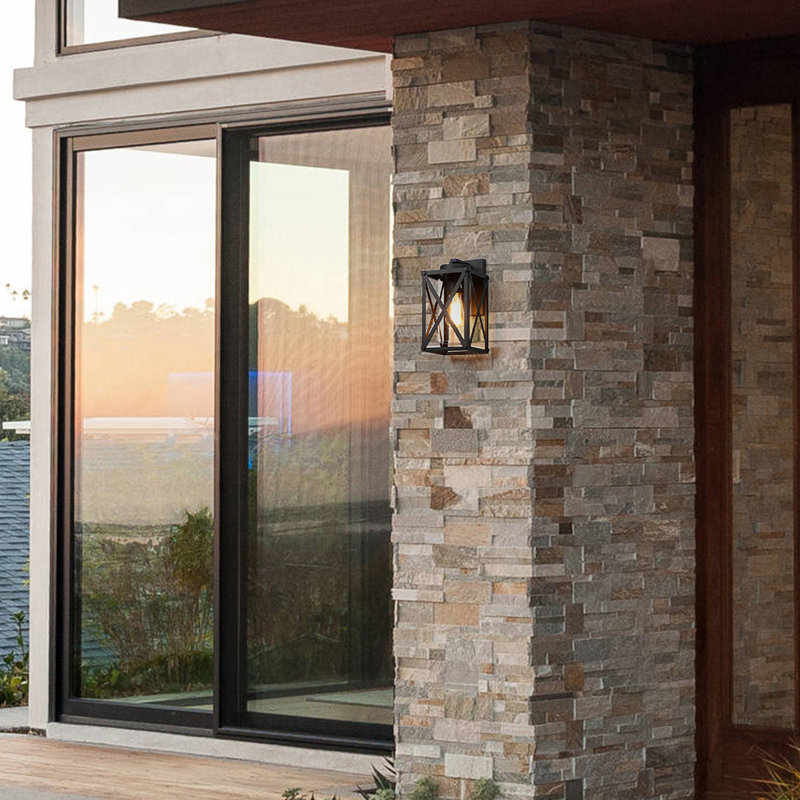 Alyasia Metal and Steel Wall Light