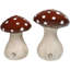 Salière et poivrière champignon rouge sauvage avec champignon crapaud blanc