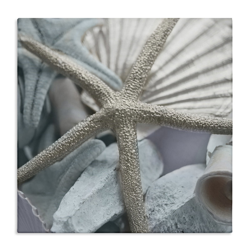 Coquillage et étoile de mer, art mural par Susan Bryant, H 30 po x l 30 po