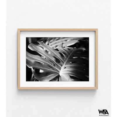 Reproduction de photo encadrée de plante de fromage suisse, art mural photo noir et blanc Monstera, impression de photo botanique, art mural encadré, art mural surdimensionné