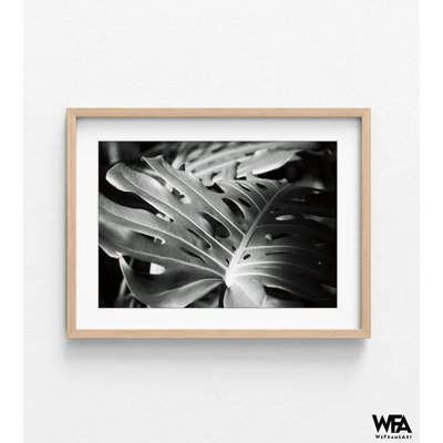 Reproduction de photo encadrée de plante de fromage suisse, art mural photo noir et blanc Monstera, impression de photo botanique, art mural encadré, art mural surdimensionné