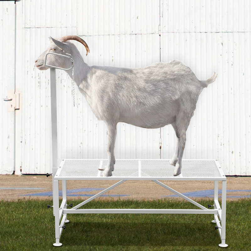 Baignoire de toilettage réglable, Blanc, H 33 po x l 51 po x P 23 po