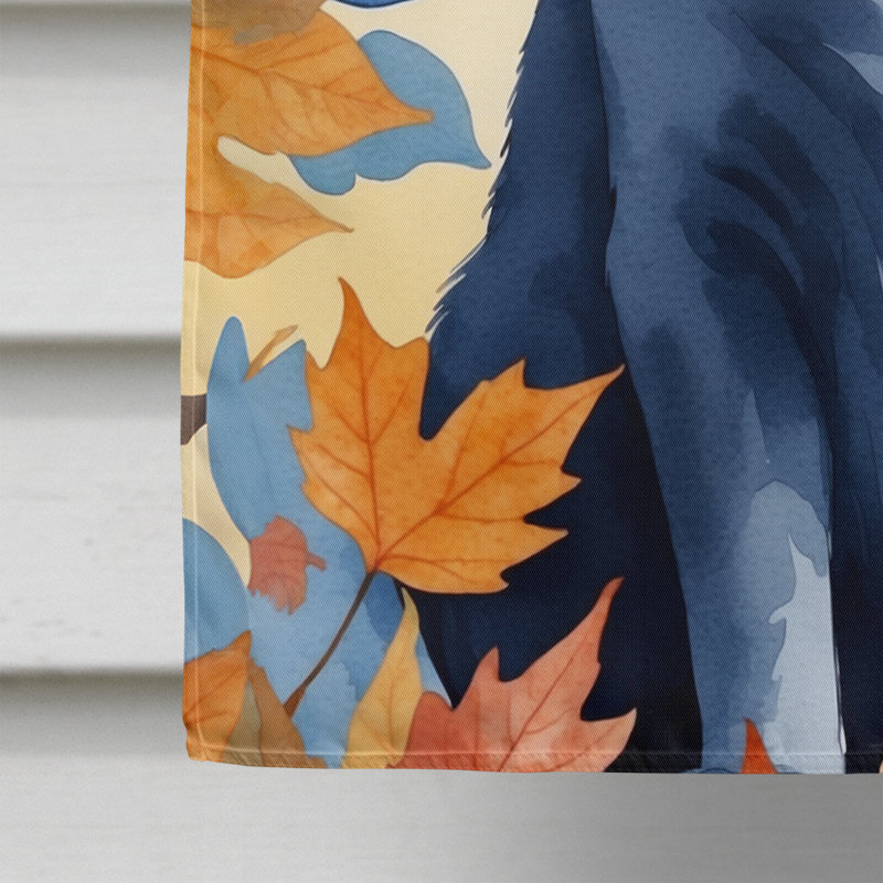 Chat en feuilles d'automne, Chartreux