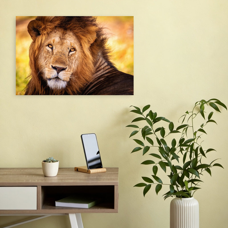 Majestic Lion Gaze Contemporary Wall Art Print, 30.48cm H x 45.72cm W