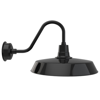 Haleigh Wall Light