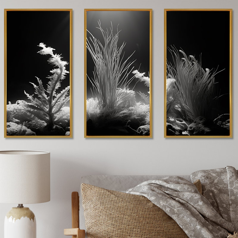 «Black and White Underwater Silent Flow I» - ensemble d'impression d'art mural corail sous l'eau, Cadre flottant doré