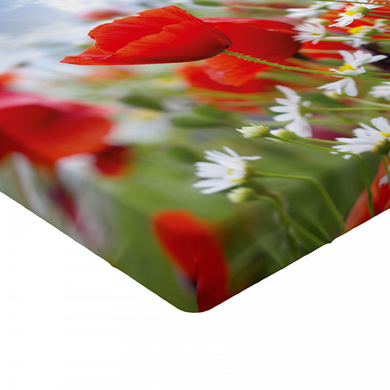 Microfiber Fitted Sheet, Queen Fitted Sheet