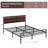 Euanthe Upholstered Bed-278082518-278082522