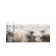 Yanaliz Hand Loomed Wool Indoor Rug